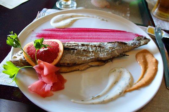Nautilus